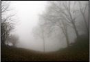 Nebbia sul Linzone