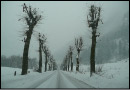 La via dell'inverno